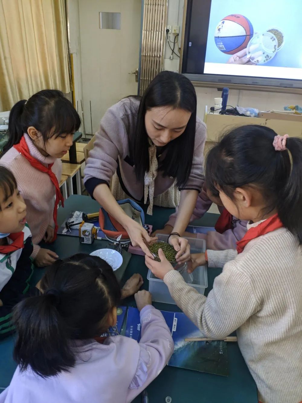 初冬暖意，相约双潮 —— 暨温大附小科学组送教下乡活动