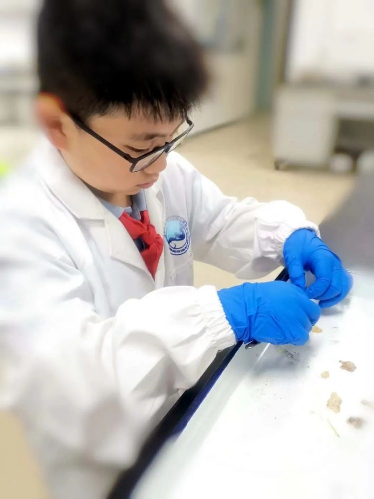 创新 体验 成长 ——记温大附小第八届科技节闭幕